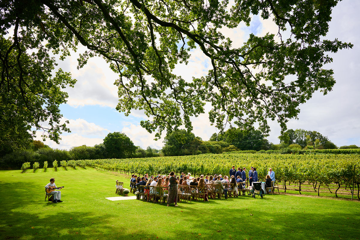Mark Barnwell performing at a wedding